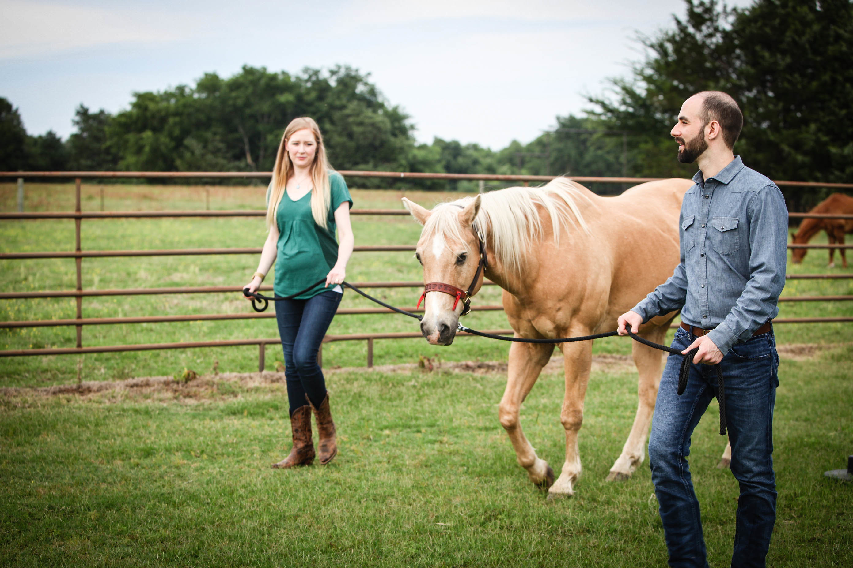 Equine therapy shop near me