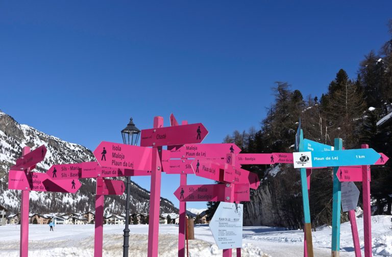 pink and blue road signs near trees